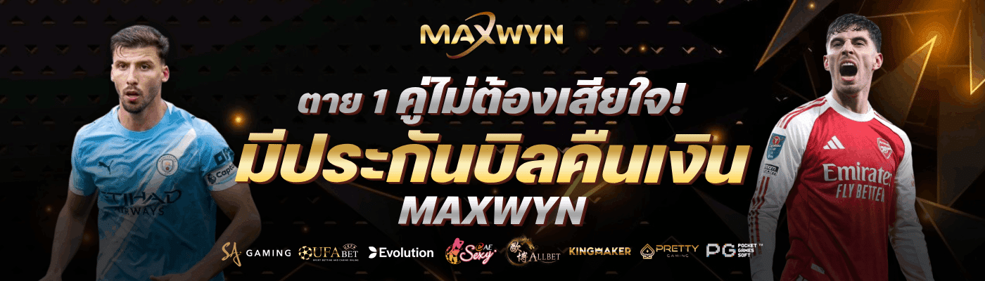 มีประกันบิลคืนเงิน-maxwyn