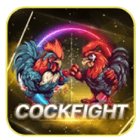 Cockfight