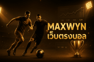 maxwyn เว็บตรงบอล