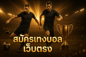 สมัครแทงบอล เว็บตรง